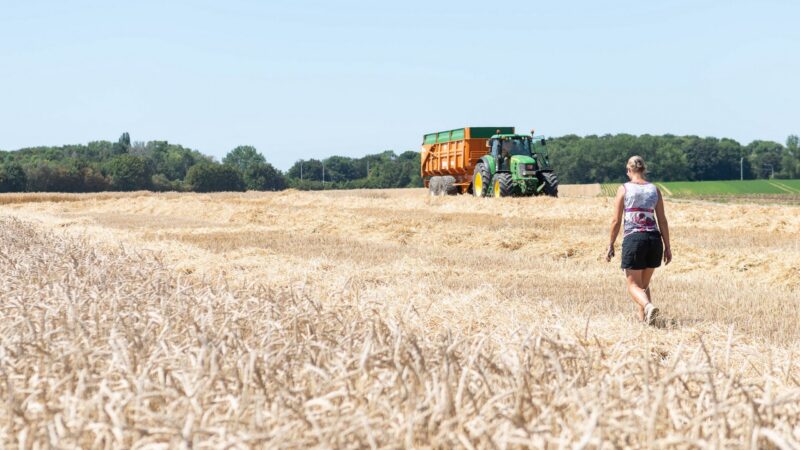 Mladí lidé nemají přístup k zemědělské půdě. Dotace problém neřeší