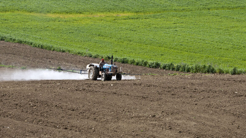 Prodej pesticidů v EU výrazně neklesá. V Česku se ale snížil o&nbsp;více než čtvrtinu