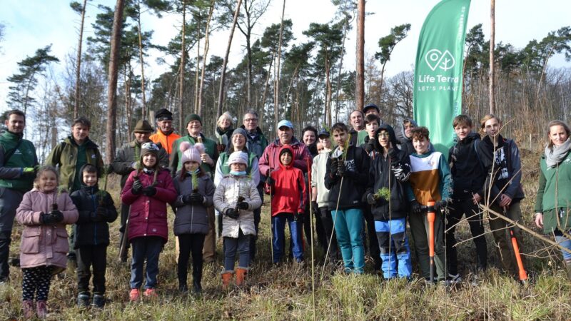 Life Terra zapouští kořeny v&nbsp;České republice