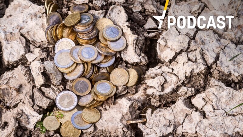 Podcast | Dopady klimatické změny mohou stát ČR víc, než kolik dnes vyplácí na důchodech, říká ekonom