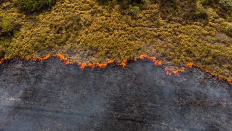 Klimatická změna je jako domino. Evropa teď potřebuje nástroje ke splnění svých úkolů, říká expert