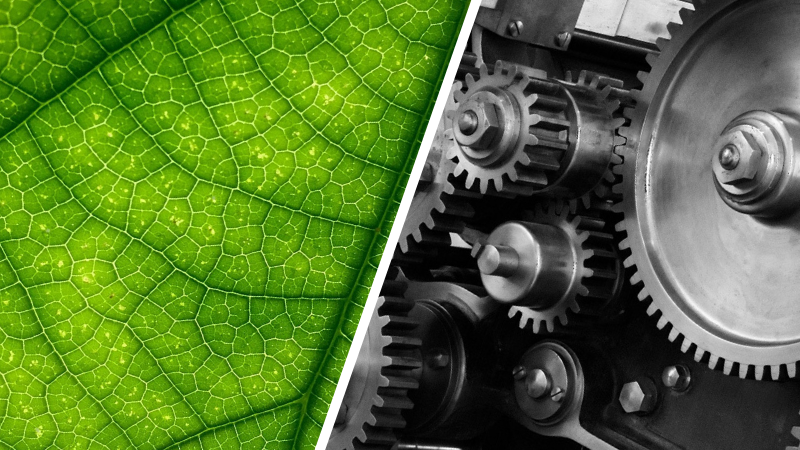 Jak chránit klima a&nbsp;neruinovat průmysl? Cestou může být „vícerychlostní dekarbonizace“