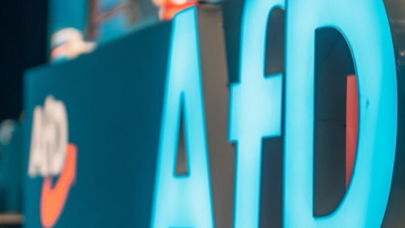 Alternativa pro Německo zakládá evropskou politickou stranu, píší německá média