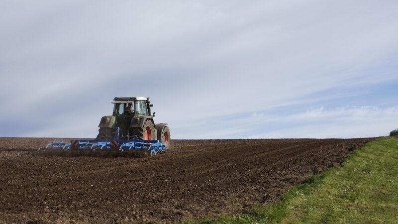 Evropské farmy hlásí nedostatek sezónních pracovníků