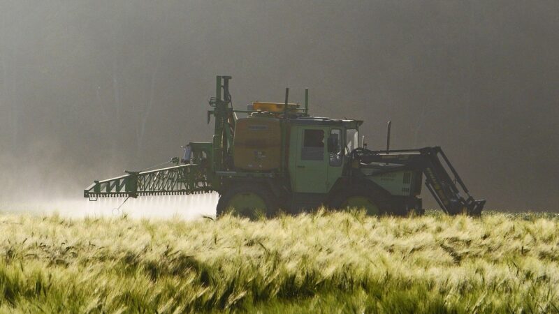 Snížení emisí v&nbsp;zemědělství vyžaduje masivní investice, upozorňuje Světová banka