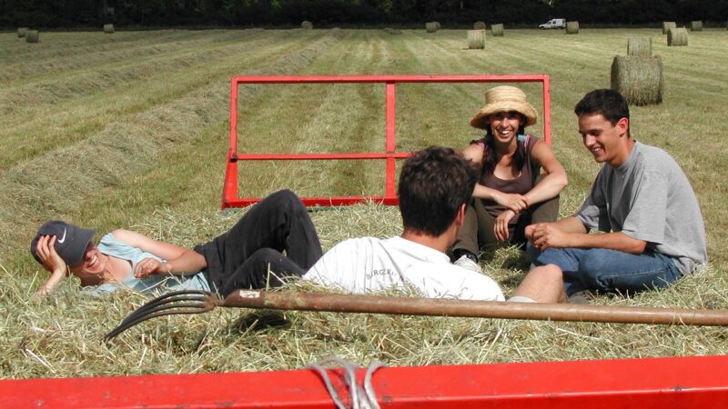 Nová zemědělská politika podpoří mladé zemědělce, dostanou 3 % rozpočtu