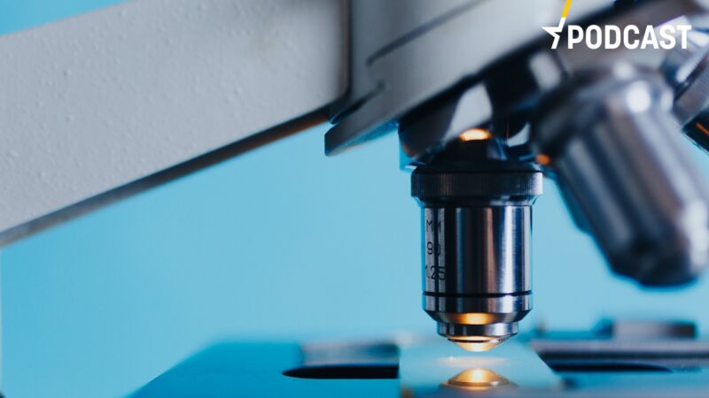 Podcast: Česká věda těží z&nbsp;evropských peněz. Posouvá ji to v&nbsp;mezinárodní konkurenci dál, říká vedoucí CZELO