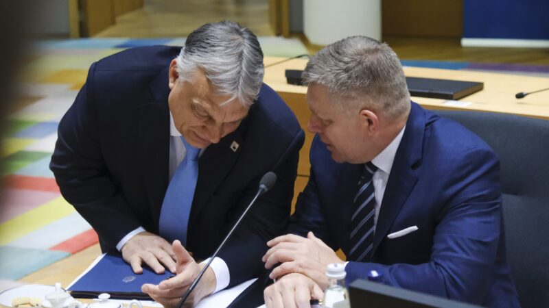 Maďaři a&nbsp;Slováci odmítli zákaz dovozu ruského plynu do EU