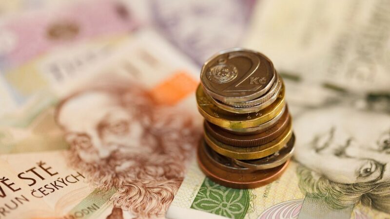 Poslanci schválili přistoupení Česka k&nbsp;fiskálnímu paktu EU