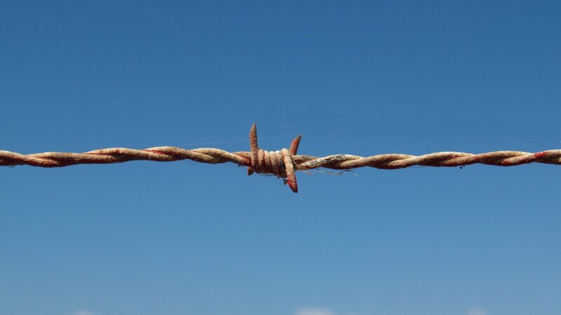 Státy na hranici s&nbsp;Ruskem potřebují od EU daleko větší pomoc, varují europoslanci