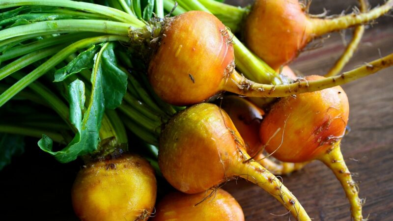 EU musí podpořit poptávku po biopotravinách, říkají ekologičtí zemědělci