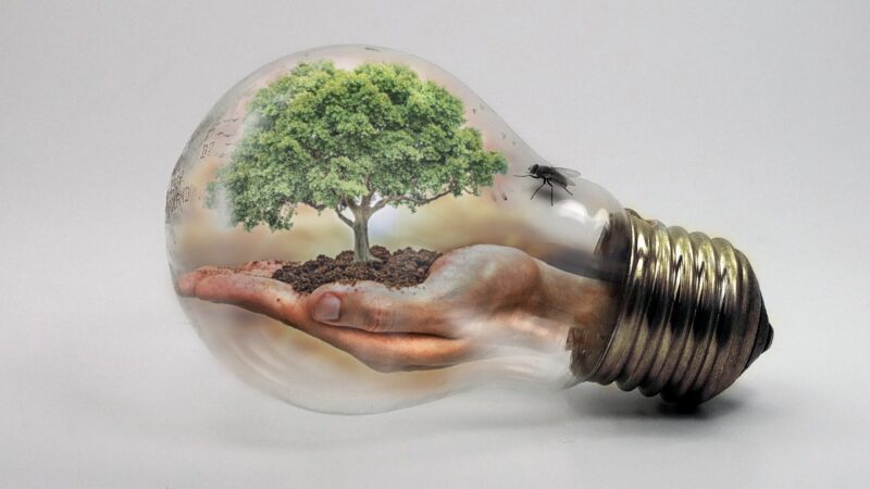 Zelená obnova po koronavirové krizi: Poslední šance Visegrádu na splnění klimatických cílů?