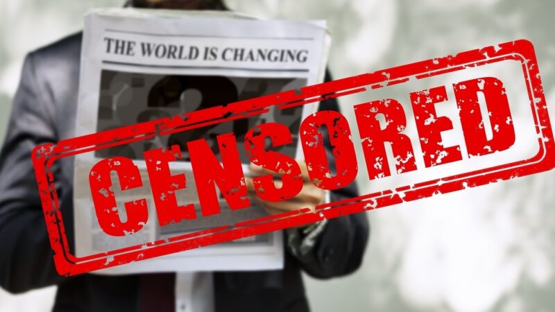 Eurovolební programy: Boj proti dezinformacím a&nbsp;varování před cenzurou