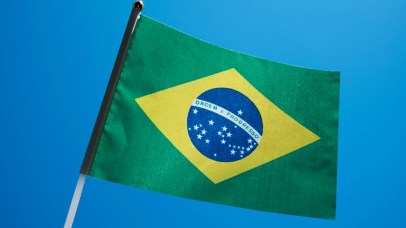 Evropská unie pozastavila dovoz drůbežího a&nbsp;hovězího masa z&nbsp;Brazílie