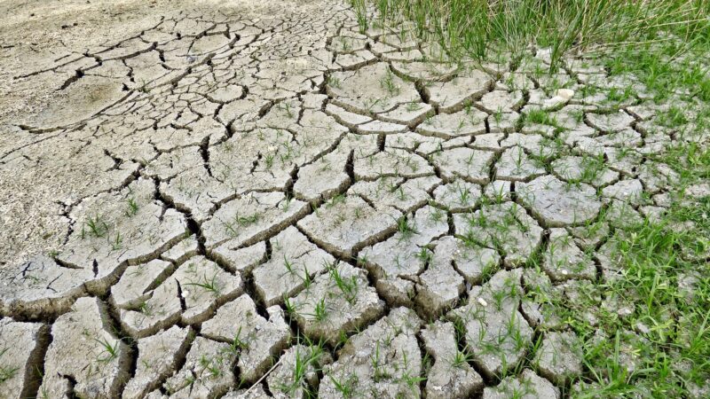 Video: Klima se mění rychleji, než vědci čekali. Vodní eroze postihuje čtvrtinu EU