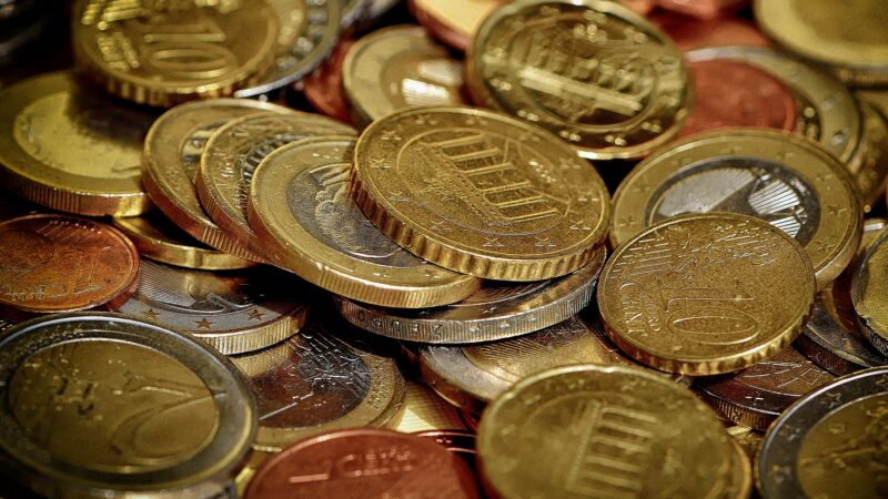 Český srpen v&nbsp;EU: Rozpočet na předsednictví nabobtná a&nbsp;dotace pro zemědělce v&nbsp;ohrožení