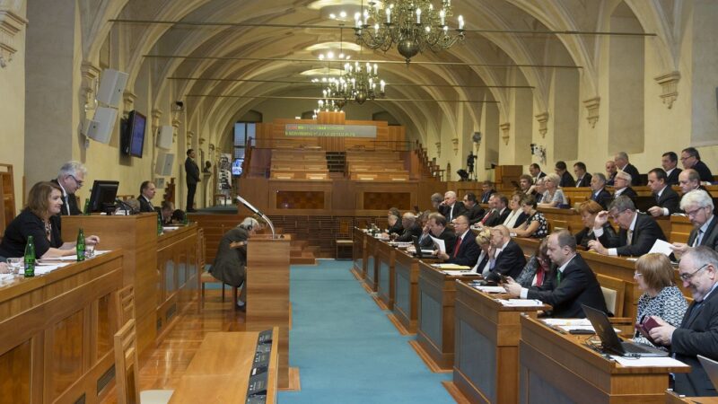 Prezidentští kandidáti chtějí do Senátu. Která evropská témata je zajímají?