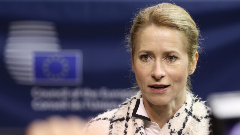 Kallas: Aby mírový plán uspěl, musí mít podporu Ukrajiny i&nbsp;Evropy