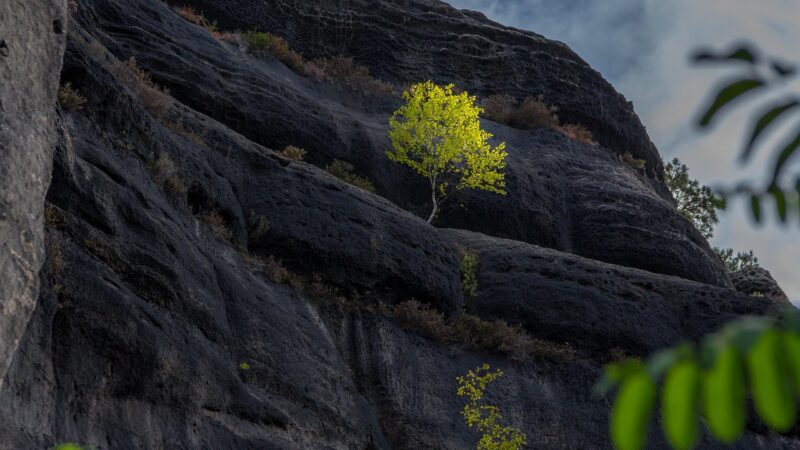 Česko a&nbsp;Sasko končí s&nbsp;uhlím a&nbsp;rozvíjí novou „zelenější“ spolupráci