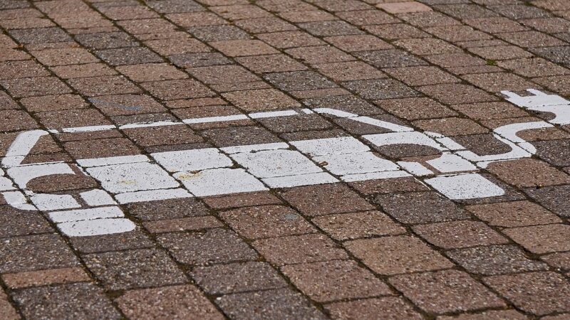 Čínská podpora pro elektromobily: Pokud EU zjistí nekalosti, může uvalit dodatečná cla