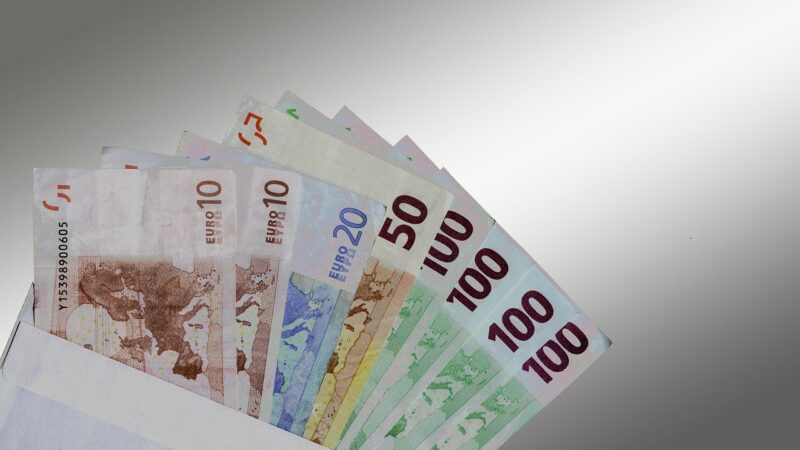 Česko dostane další peníze pro Národní plán obnovy, půjdou na zalesňování, digitalizaci nebo onkologii