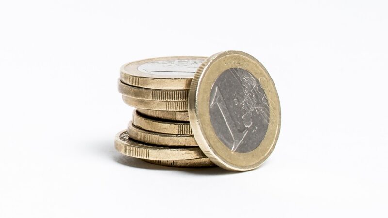 Co si o&nbsp;euru myslí ti, kteří jím platí?