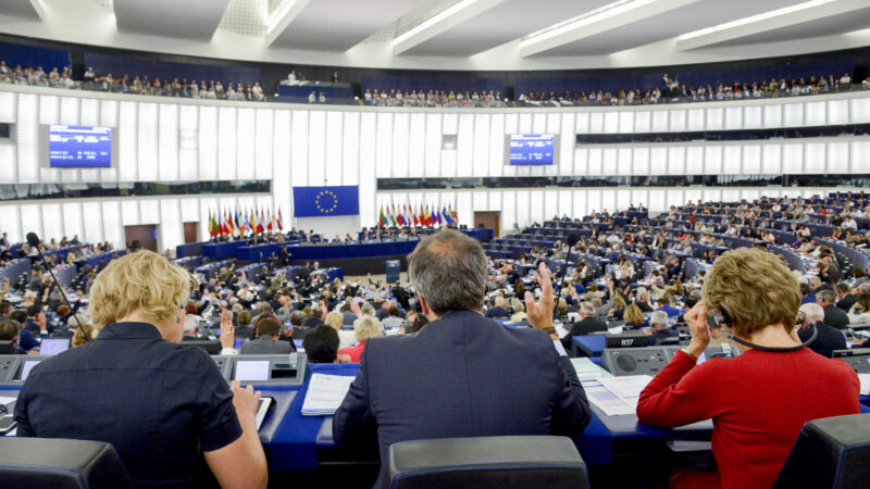 Průzkum: Volby do europarlamentu by vyhrálo ANO, lídryni Dostálovou ale zná jen polovina respondentů