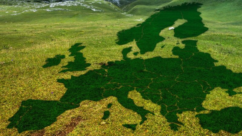 Výzva pro premiéry zemí střední a&nbsp;východní Evropy: Podpořte spravedlivou a&nbsp;udržitelnou obnovu ekonomiky