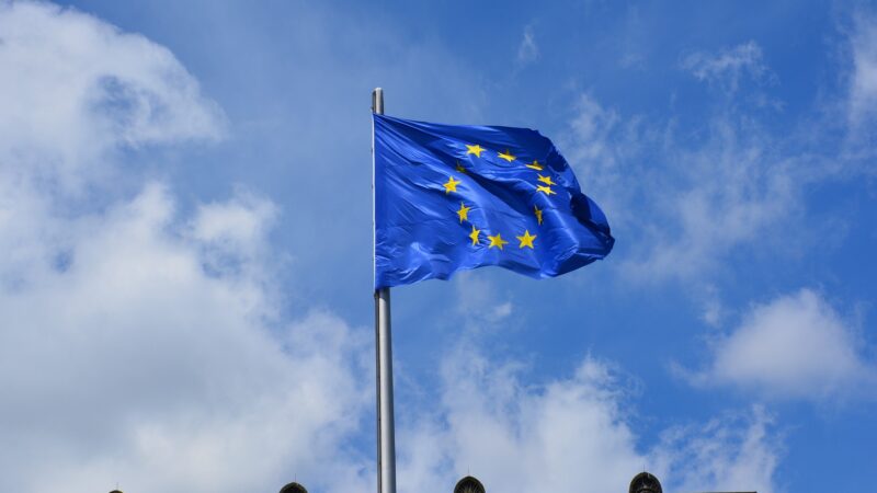 Pětice zemí EU chce dočasně omezit některá hlasovací práva novým členům