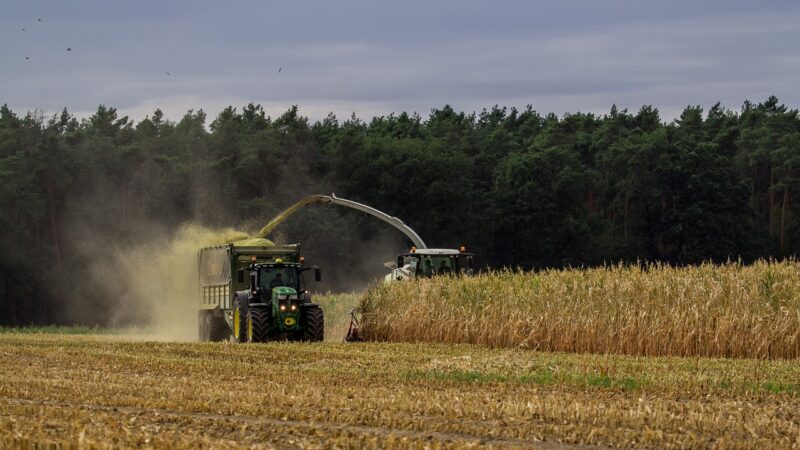 Unie zjednoduší předpisy pro farmáře, ušetřit mají až 1,6 miliardy eur ročně