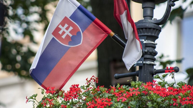 Na Slovensku se zneužívají zemědělské dotace, upozorňují europoslanci