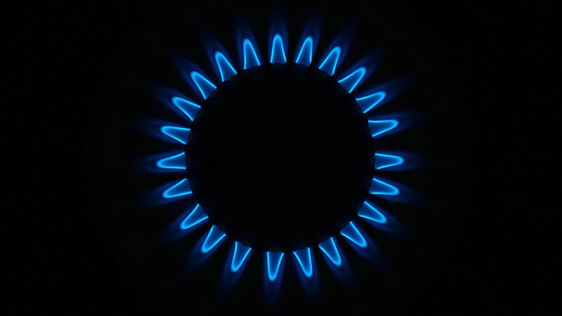 Alternativy jsou základ energetického přechodu, do fosilních paliv je ale potřeba ještě chvíli investovat