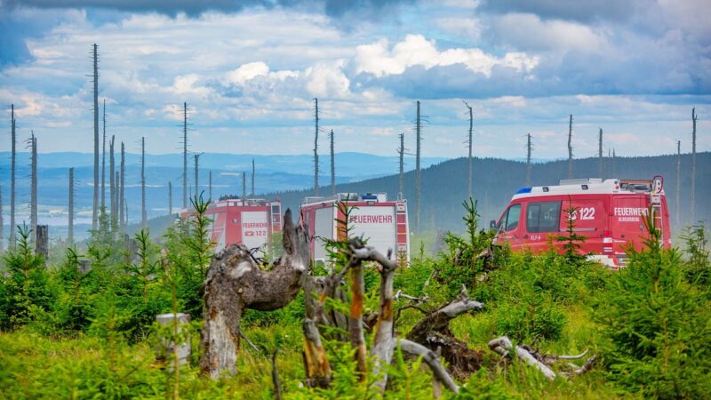 Přeshraniční spolupráce funguje už téměř třicet let, nezastavila ji ani pandemie