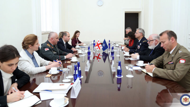 NATO by kandidaturu Gruzie mělo brát vážněji