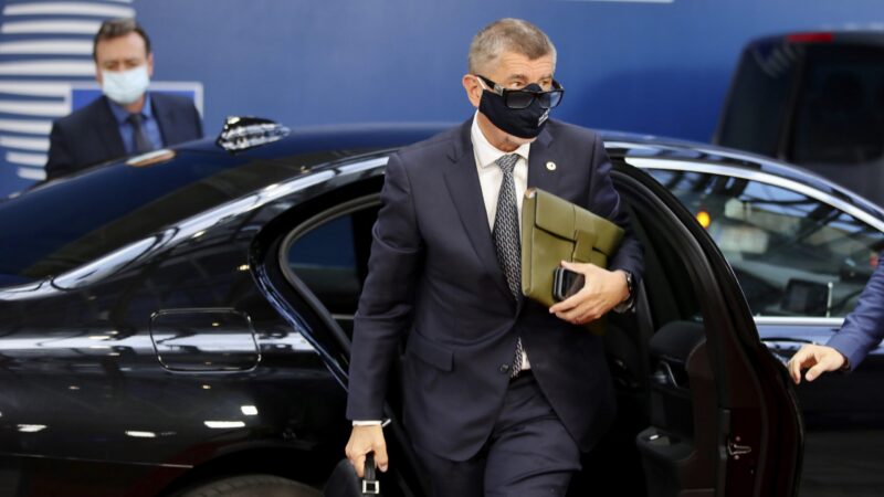 Česko vstoupí do eurozóny až po reformě EU, řekl Babiš