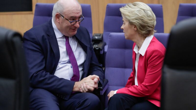 Irsku hrozí, že po rezignaci eurokomisaře Hogana ztratí vlivné obchodní portfolio