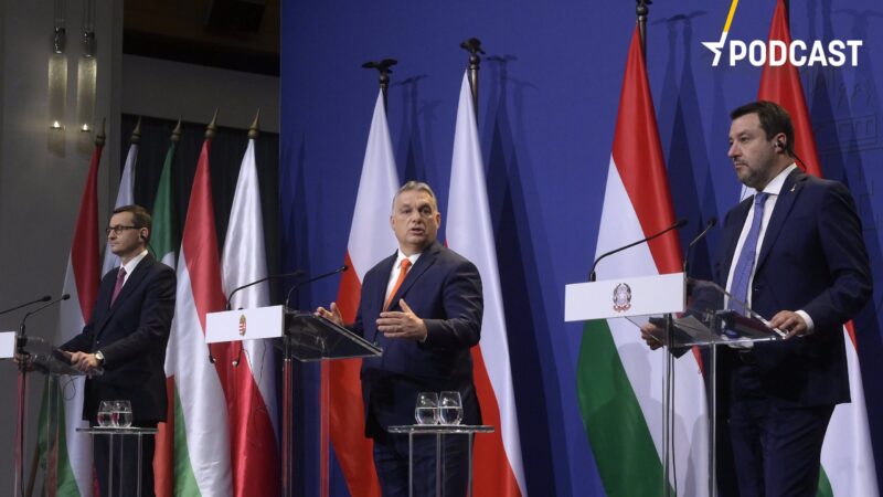 Podcast: Jak se promění síly v&nbsp;europarlamentu po rozchodu maďarské strany Fidesz a&nbsp;lidovců?