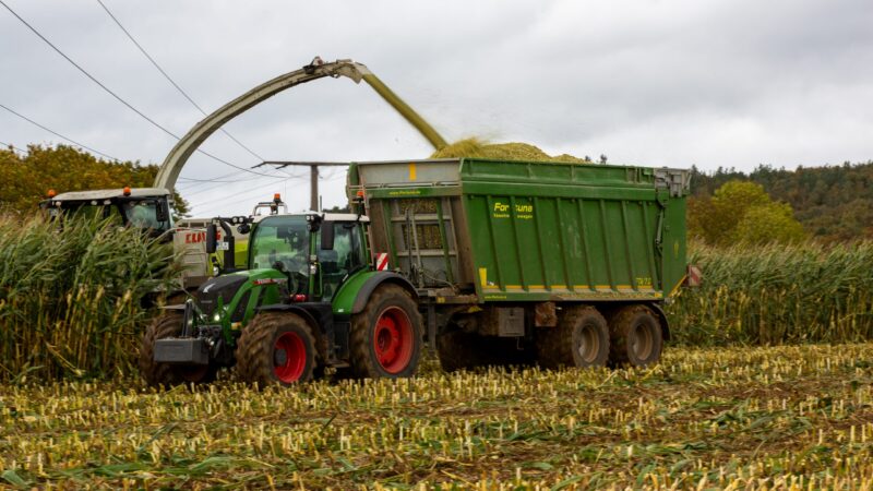 Biomasa může nahradit až pětinu energie zemního plynu. Ochránci přírody ale varují před riziky