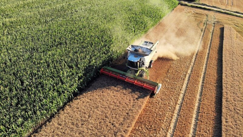 Místo zastropování platba na první hektary. Doladění nové zemědělské politiky mají v&nbsp;rukou europoslanci