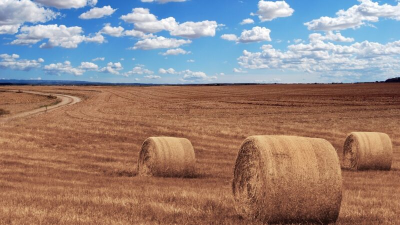 Nová zemědělská politika EU dává více odpovědnosti státům