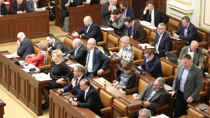 Budoucnost EU řeší i&nbsp;čeští poslanci. Musí se zabývat názory občanů