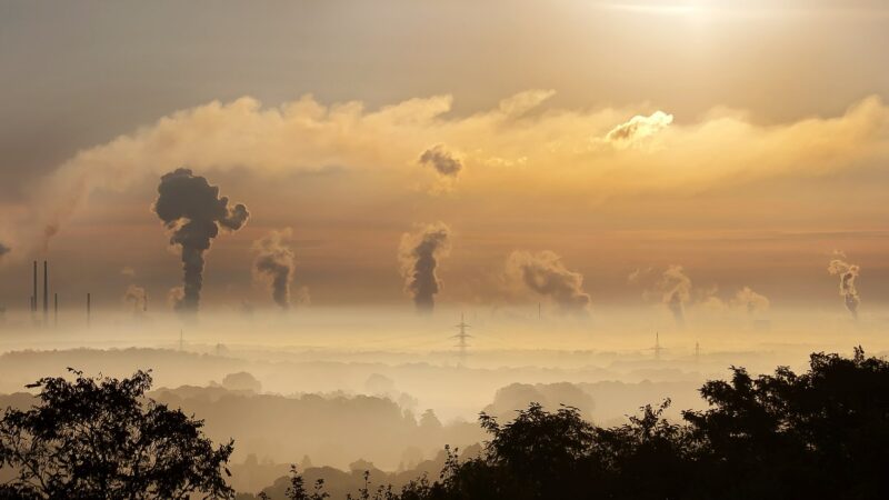 2020: Evropa chrání klima navzdory pandemii