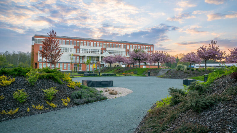 Hradecká univerzita se snaží vyvinout lék na Alzheimerovu chorobu. Na projekt získala 130 milionů korun z&nbsp;EU