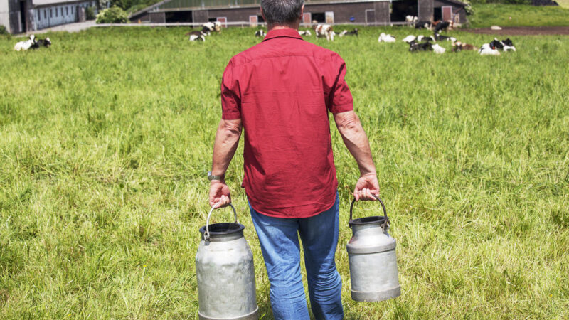 EU má chránit farmáře před obchodními řetězci, říkají ministři zemědělství