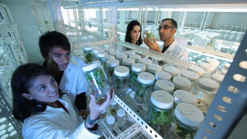 Jak zajistit kvalitní a&nbsp;zdravé potraviny? Polovina Čechů chce celoevropské řešení