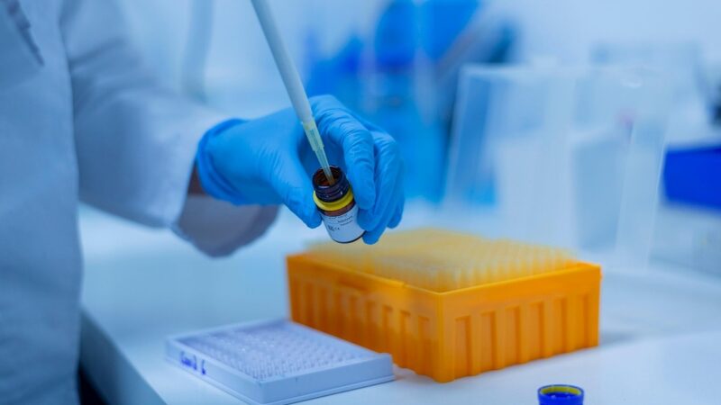 Půl miliardy eur na vědu: EU chce přilákat zklamané americké vědce