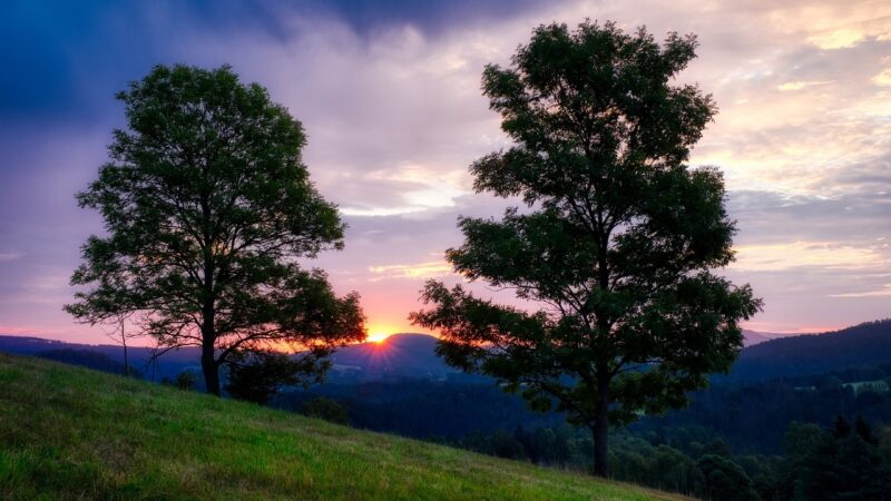 Životní prostředí v&nbsp;ČR patří k&nbsp;nejhorším v&nbsp;Evropě, vyplývá z&nbsp;nového indexu