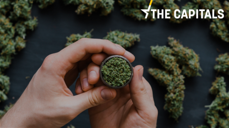 The Capitals: Italové jsou o&nbsp;krok blíž k&nbsp;dekriminalizaci konopí