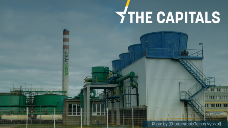 The Capitals: Pokud omezíte dotace, traktory vyrazí do ulic a&nbsp;podáme žalobu, hrozí čeští farmáři