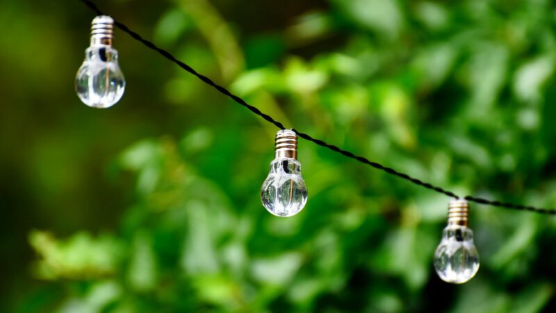 Ochrana klimatu: Nová byznysová příležitost?